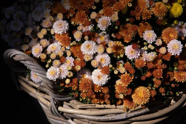 Wiklinowy Koszyk Pełen Pięknych Kwiatów Chryzantemy Poziomy Zbliżenie — Zdjęcie stockowe