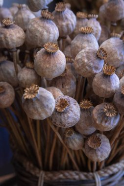 İç dekorasyon için kuru haşhaş kafalar. Dikey. Yakın plan..