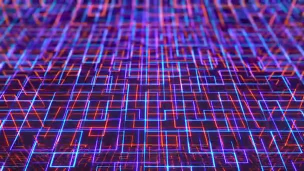 Digital Neon Labyrinth Hintergrund — Stockvideo