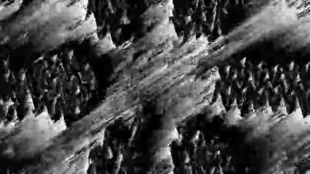 Black and white fractal noise — Stock Video