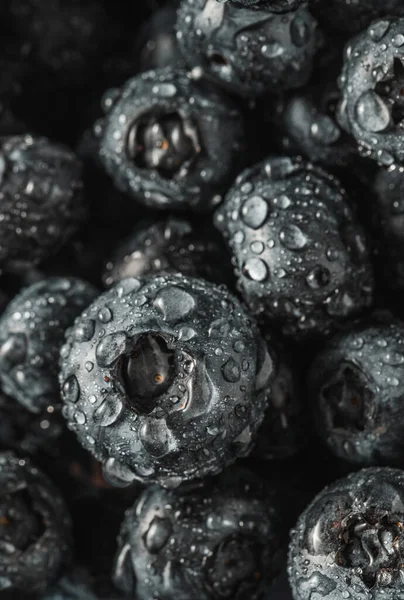 Olgun tatlı yaban mersinine su damlası. Metnin için fotokopi alanı olan taze yabanmersini arkaplanı. Vejetaryen ve vejetaryen kavramı. Yaban mersinli böğürtlenlerin makro dokusu. Yaban mersinli dokular kapanıyor.