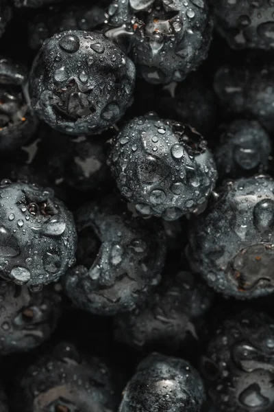 Olgun tatlı yaban mersinine su damlası. Metnin için fotokopi alanı olan taze yabanmersini arkaplanı. Vejetaryen ve vejetaryen kavramı. Yaban mersinli böğürtlenlerin makro dokusu. Yaban mersinli dokular kapanıyor.