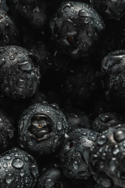 Olgun tatlı yaban mersinine su damlası. Metnin için fotokopi alanı olan taze yabanmersini arkaplanı. Vejetaryen ve vejetaryen kavramı. Yaban mersinli böğürtlenlerin makro dokusu. Yaban mersinli dokular kapanıyor.