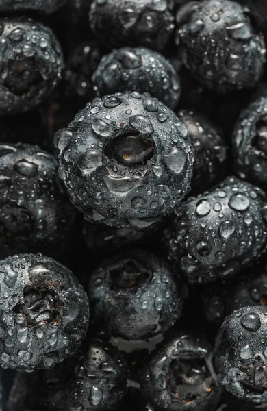 Olgun tatlı yaban mersinine su damlası. Metnin için fotokopi alanı olan taze yabanmersini arkaplanı. Vejetaryen ve vejetaryen kavramı. Yaban mersinli böğürtlenlerin makro dokusu. Yaban mersinli dokular kapanıyor.