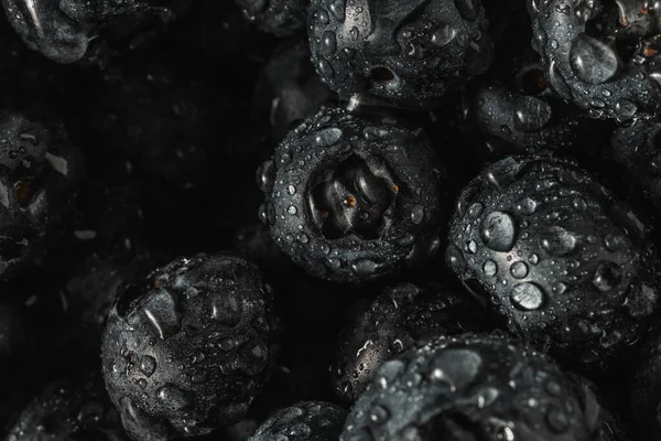 Olgun tatlı yaban mersinine su damlası. Metnin için fotokopi alanı olan taze yabanmersini arkaplanı. Vejetaryen ve vejetaryen kavramı. Yaban mersinli böğürtlenlerin makro dokusu. Yaban mersinli dokular kapanıyor.