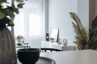 Parlak modern minimalist oturma odası, küçük mobilyaları ve çoğunlukla beyaz tonlarıyla bir bitkiye çerçevelenmiş. Seçici yaklaşım. Emlak sahnesi.