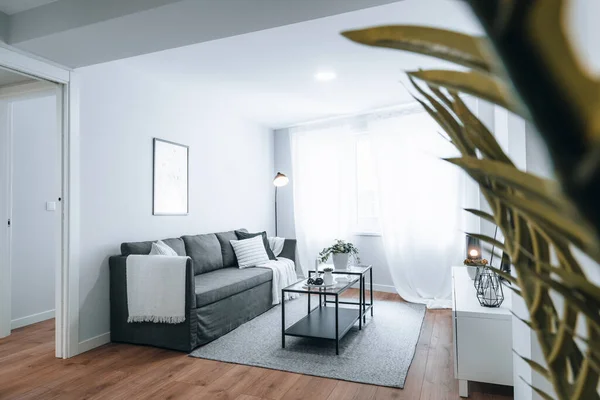 木製の床と植物と白 黒とグレーの色調の現代的なアパートの空のリビングルーム — ストック写真