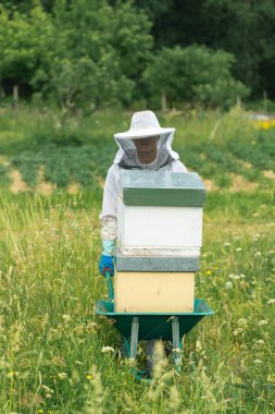 Dikey bir çiftliğin ortasında el arabası ve ahşap kovanlarla çalışan bir arı yetiştiricisinin ön çekimi..