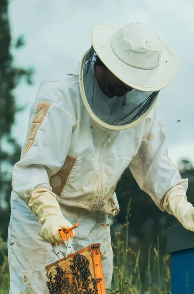 beekeeper holding a picture of bees with a safety suit and protective mask over a blue sky. vertical