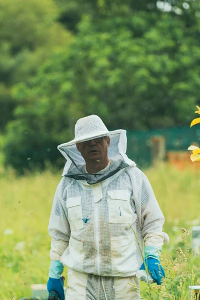 portrait of senior beekeeper in safety suit. vertical.