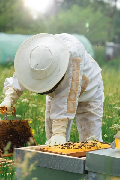 Arı yetiştiricisi çömelmiş, gece karanlığında bir kovana yaslanan arılarla fotoğraf çekiyor. dikey.