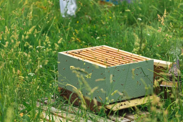 beehive full of green bees with smoker leaning against a field of flowers.