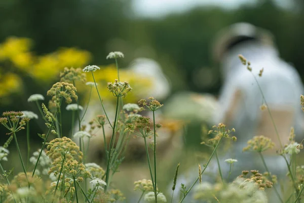 Güvenlik kıyafetleri giymiş, ön planda seçici bir şekilde odaklanmış çiçek taşıyan odaksız arı yetiştiricileri..