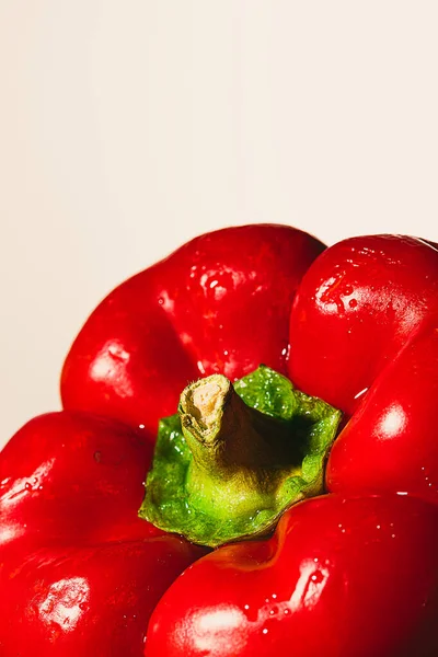 freshly cut stem of red bell pepper freshly picked from the garden wet on a white background. vertical.