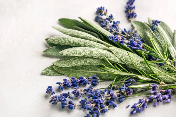 Fresh spicy herbs. Sage leaves, lavender and rosemary. — Stock Photo, Image