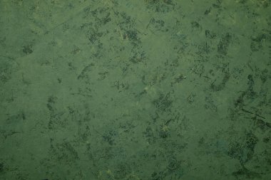 Alçı desenli yeşil bir arka plan. Yatay Pankart