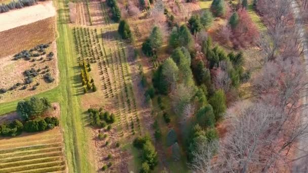 秋の農村風景の空中ビデオ 秋の収穫後に農場や農地を飛行するドローン映像 — ストック動画