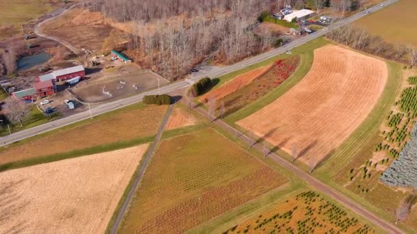 Luchtfoto Van Een Herfstlandschap Drone Video Van Een Vlucht Landbouw — Stockvideo