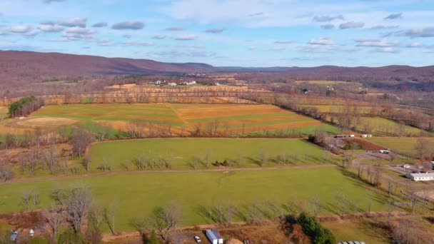 Luchtfoto Van Een Herfstlandschap Drone Video Van Een Vlucht Landbouw — Stockvideo