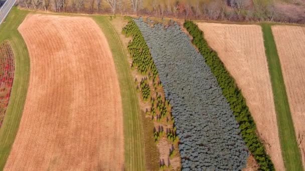 풍경을 방송으로 영상입니다 가을에 수확물을 농경지 상공을 비행하는 모습을 — 비디오