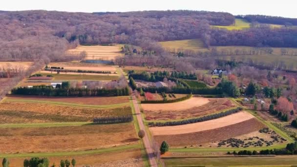 Luchtfoto Van Een Herfstlandschap Drone Video Van Een Vlucht Landbouw — Stockvideo