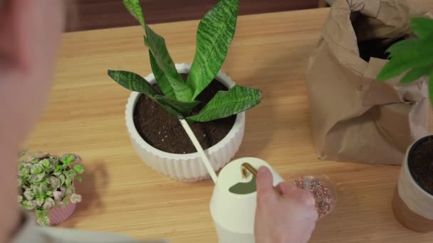 女性はポットで植物の世話とショーをします 庭師の移植植木鉢 — ストック動画