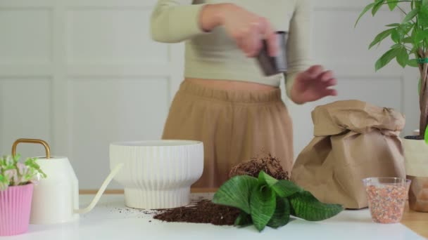 女性はポットで植物の世話とショーをします 庭師の移植植木鉢 — ストック動画