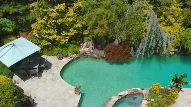 环绕着热带游泳池的奇异花园的空中景观 在游泳池附近用清水放松的绿地 — 图库视频影像