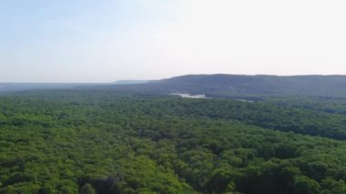 Aerial video of beautiful foliate forest and green trees captured by a drone camera top view