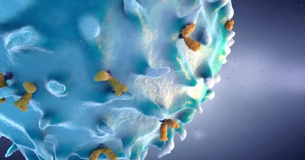 リンパ球の周りの飛行 免疫系の白血球の種類 3Dイラスト — ストック動画
