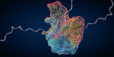 Ribosome, kurye rna molekülünü oluşturan biyolojik bir hücrenin parçası - 3D çizim