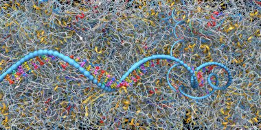Ribosome, kurye rna molekülünü oluşturan biyolojik bir hücrenin parçası - 3D çizim