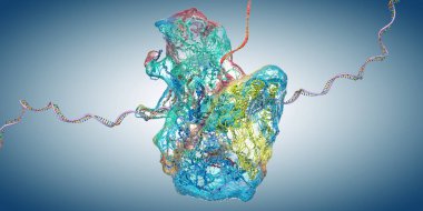 Ribosome, kurye rna molekülünü oluşturan biyolojik bir hücrenin parçası - 3D çizim