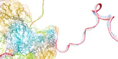 Ribosome, kurye rna molekülünü oluşturan biyolojik bir hücrenin parçası - 3D çizim