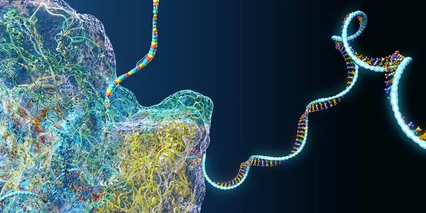 Ribosome, kurye rna molekülünü oluşturan biyolojik bir hücrenin parçası - 3D çizim