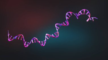 Protein biyo-sentezi için önemli olan nükleotidlerden oluşan ribonükleik asit iplikleri - 3d illüstrasyon