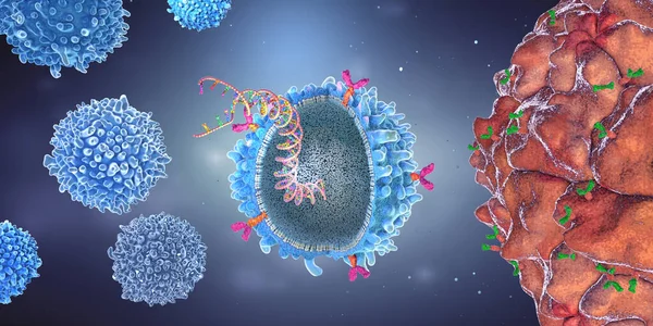 Genetiğiyle Oynanmış Kimyasal Antijen Reseptör Bağışıklık Hücresi — Stok fotoğraf