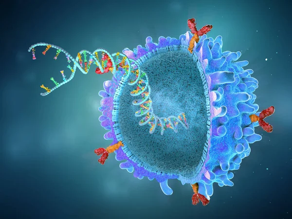 Генетично Розроблена Імунна Клітина Антигену Імплантованим Ланцюгом Генів Ілюстрація — стокове фото