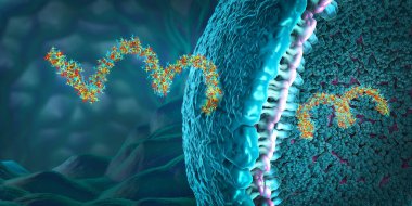 Protein biyo-sentezi için önemli olan nükleotidlerden oluşan ribonükleik asit iplikleri - 3d illüstrasyon