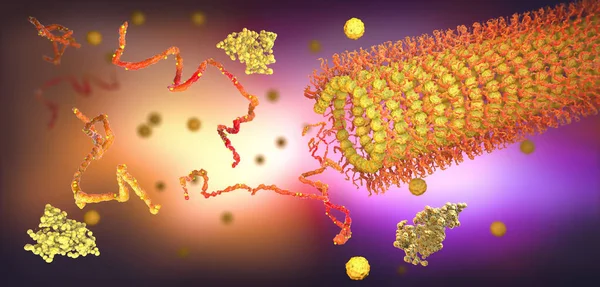 蛋白质酶折叠成它们的结构来完成它们的功能 3D示例 — 图库照片