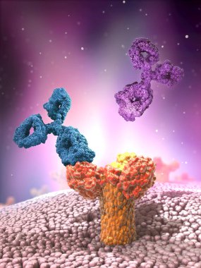 Reseptöre eklenmiş çok renkli antikorlar veya immünoglobülin protein yapıları - 3d illüstrasyon