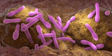 Organik dokuda büyüyen kapridyum botülizm patojenleri - 3 boyutlu illüstrasyon