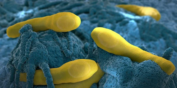 在有机组织上生长的肉毒杆菌病原体 3D示例 — 图库照片