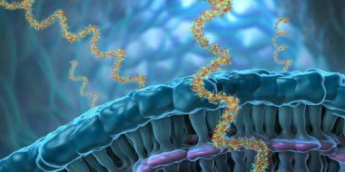 Protein biyo-sentezi için önemli olan nükleotidlerden oluşan ribonükleik asit iplikleri - 3d illüstrasyon