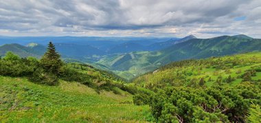 Yazın başlarında geniş vadiler ve yeşil çayırlar ile Slovakya 'nın kuzeyindeki High Tatras eteklerindeki doğal manzara..