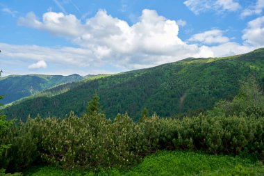 Yazın başlarında geniş vadiler ve yeşil çayırlar ile Slovakya 'nın kuzeyindeki High Tatras eteklerindeki doğal manzara..