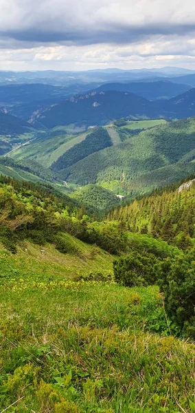Paysage Naturel Dans Les Contreforts Des Hautes Tatras Nord Slovaquie — Photo