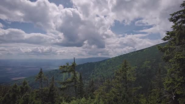 Krajobraz Naturalny Podnóża Tatr Wysokich Północy Słowacji Wczesnym Latem Szerokimi — Wideo stockowe