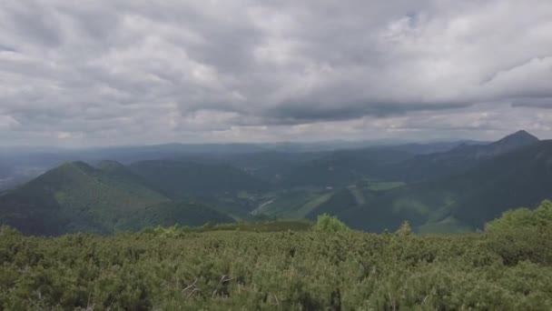 Природный Ландшафт Предгорьях Высоких Татр Севере Словакии Начале Лета Широкими — стоковое видео