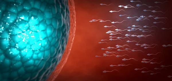Многие Сперматозоиды Слегка Прозрачные Научно Правильные Движутся Вперед Зиготе Голубом — стоковое фото